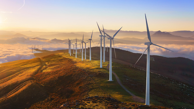 Machine Learning Algorithms Tested for Wind Turbine Contaminant Detection